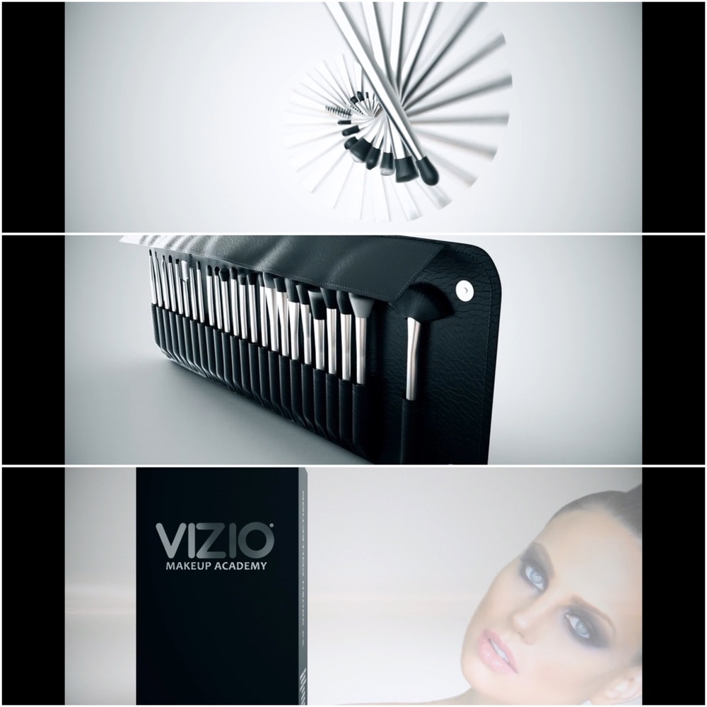 24 Piece Professional Makeup Brush Set with Case
